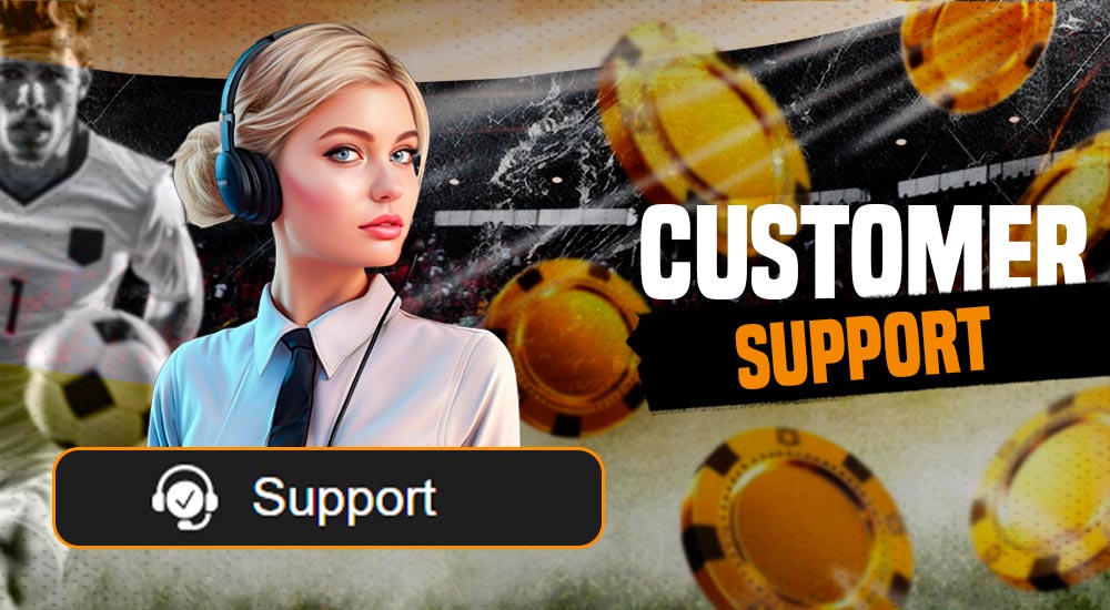 We provide our users with continuous guidance and reliable customer care.